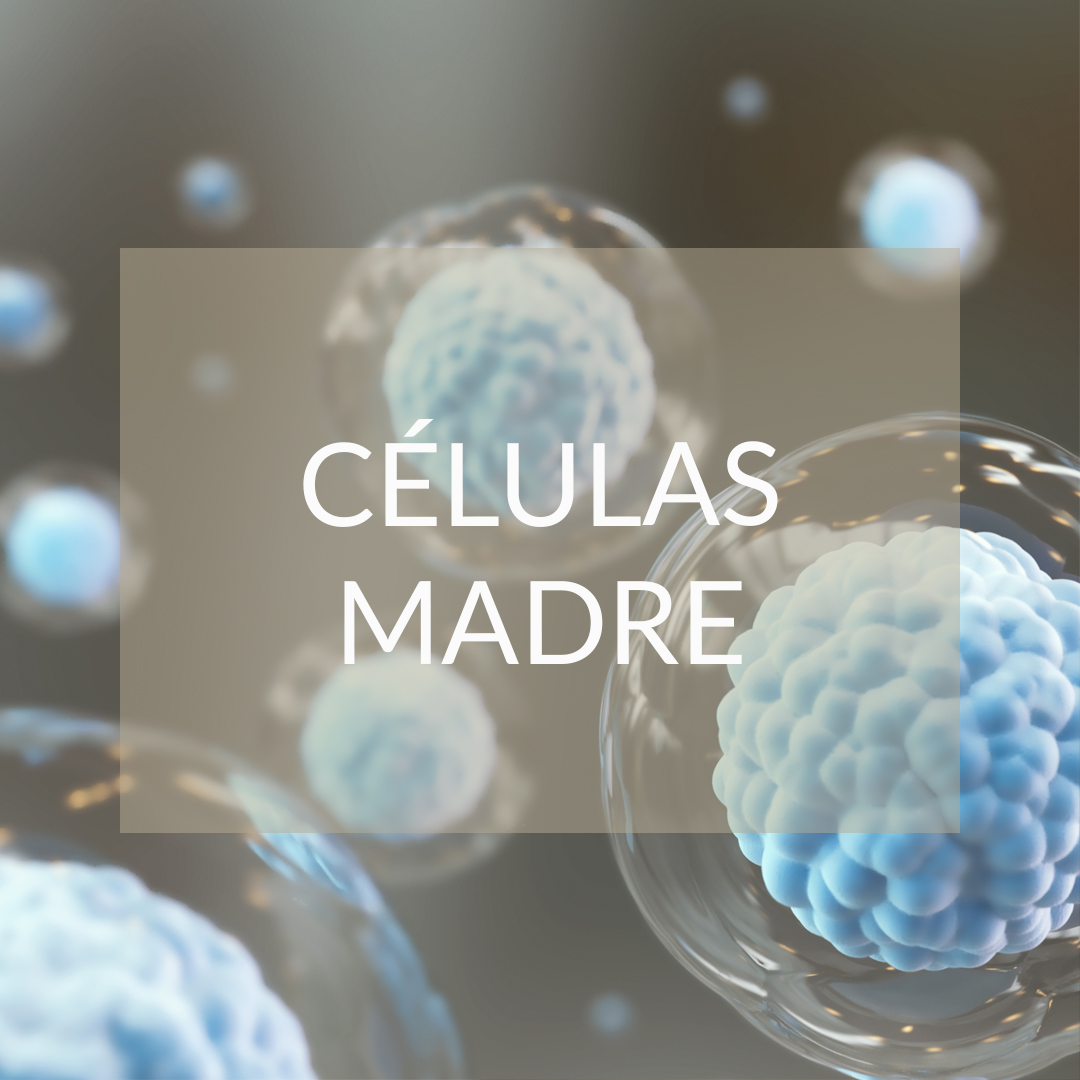 tratamiento celulas madre madrid