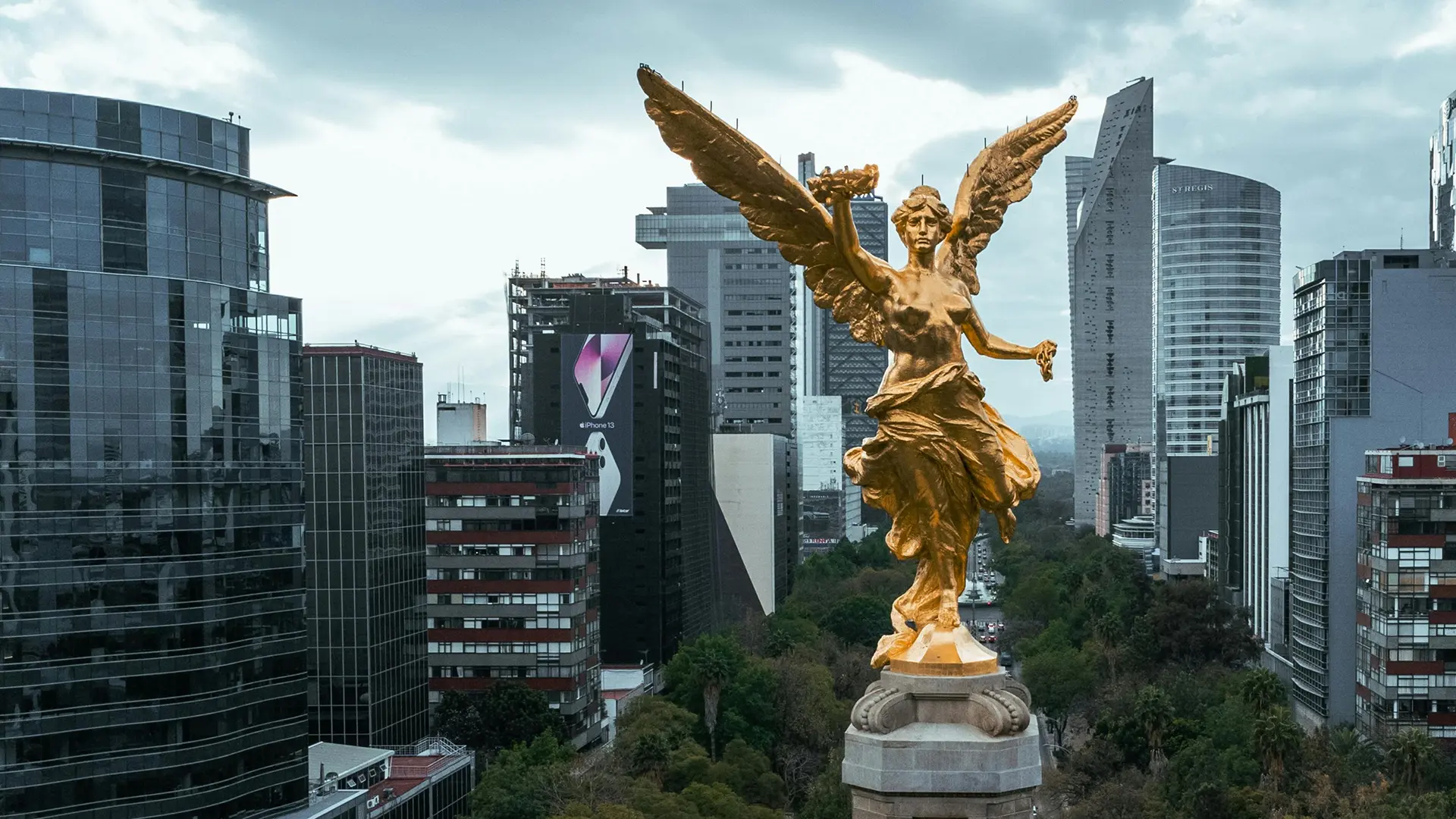 Hair diagnosis Mexico City - Dr. Espinosa Custodio