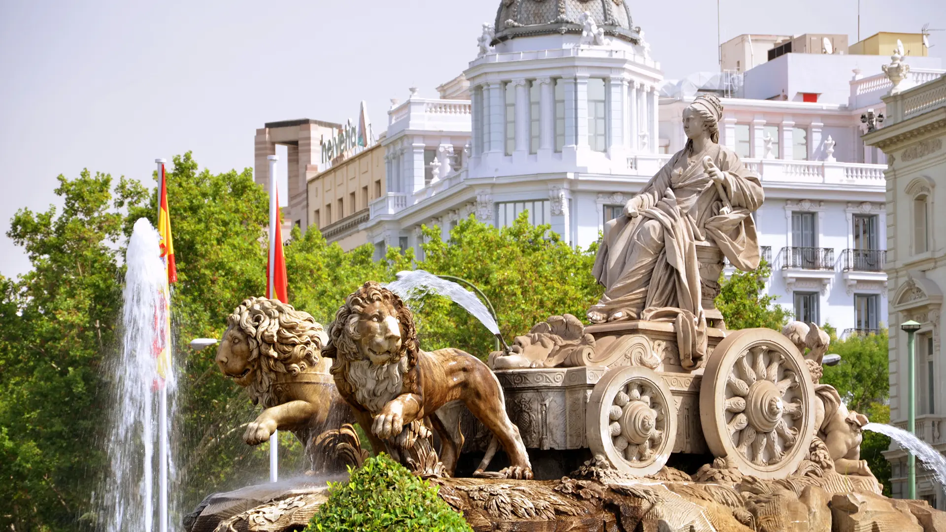 Diagnostico capilar Madrid - Dr. Espinosa Custodio